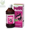 Hamdard Masturin